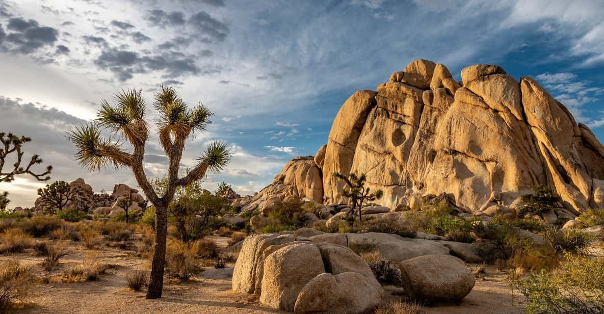 Joshua Tree: Keys View Iconic Driving Tour - Tour Features