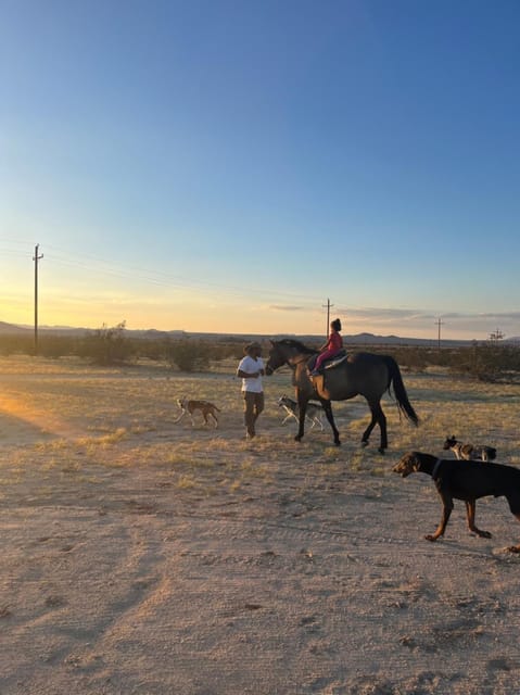 Joshua Tree: Pony Ride for Children - Experience Highlights