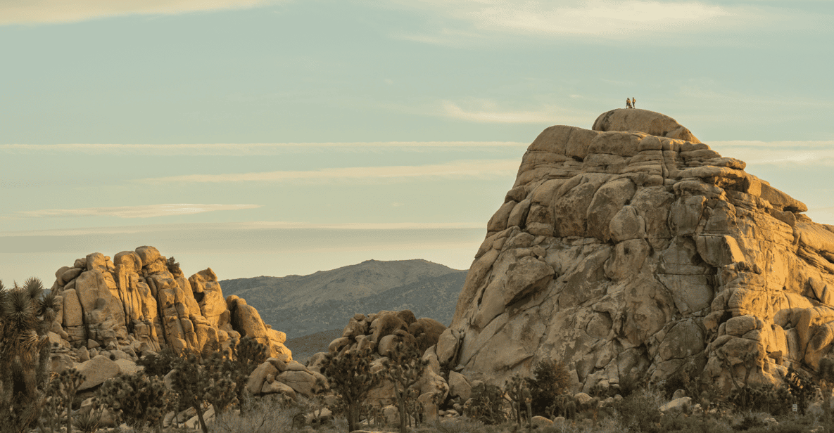 Joshua Trees Hidden Valley Self-Guided Walking Audio Tour - Booking and Cancellation