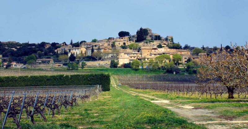 Joucas : Vineyard Bike Ride - Key Experience Highlights
