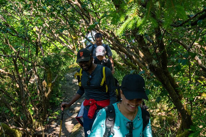 Juneau Shore Excursion: Mendenhall Glacier Guided Hike - Group Size and Guide Details