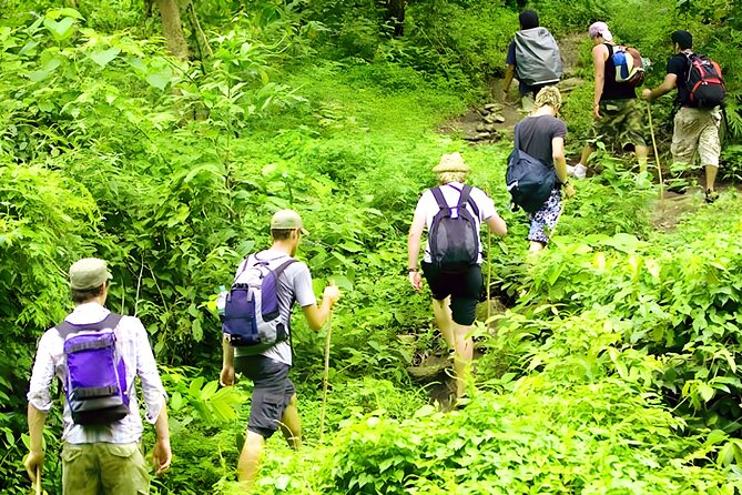 Jungle Trekking and Tamblingan Lake Canoeing in Bali Rainforest - Jungle Trekking Experience