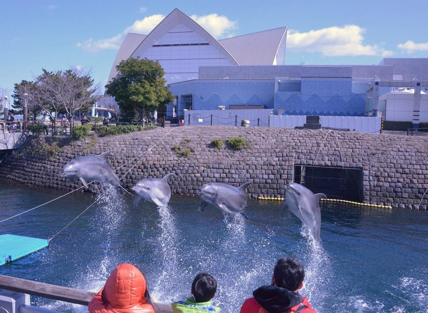 Kagoshima Private City View Bus Tour - Cultural Experiences