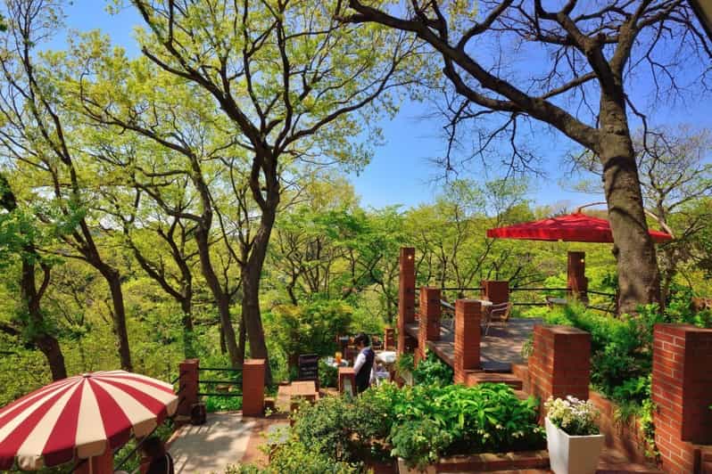 Kamakura: 5-Hour Nature and History Walking Tour - Inclusions and Exclusions