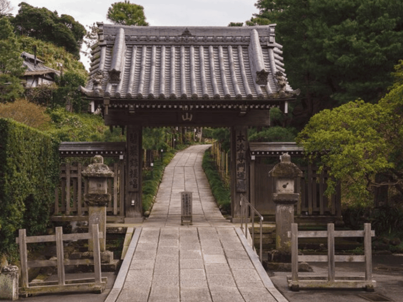 Kamakura and Yokohama: Private Chauffeur Tour - Tour Experience