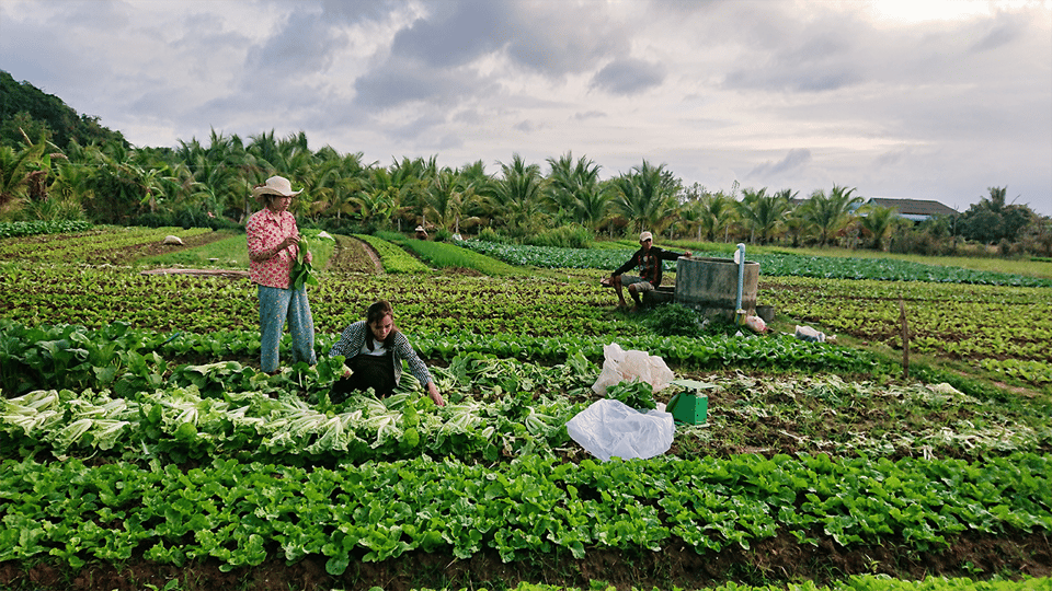 Kampot Countryside Tours - Local Culture and Salt Harvesting