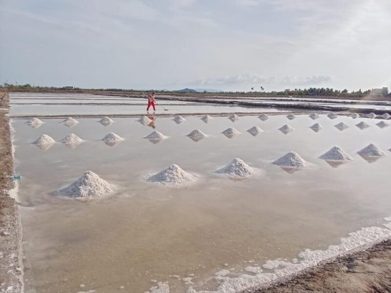 Kampot Half Day Tours (Country Side & Pepper Farm) - Cultural Significance