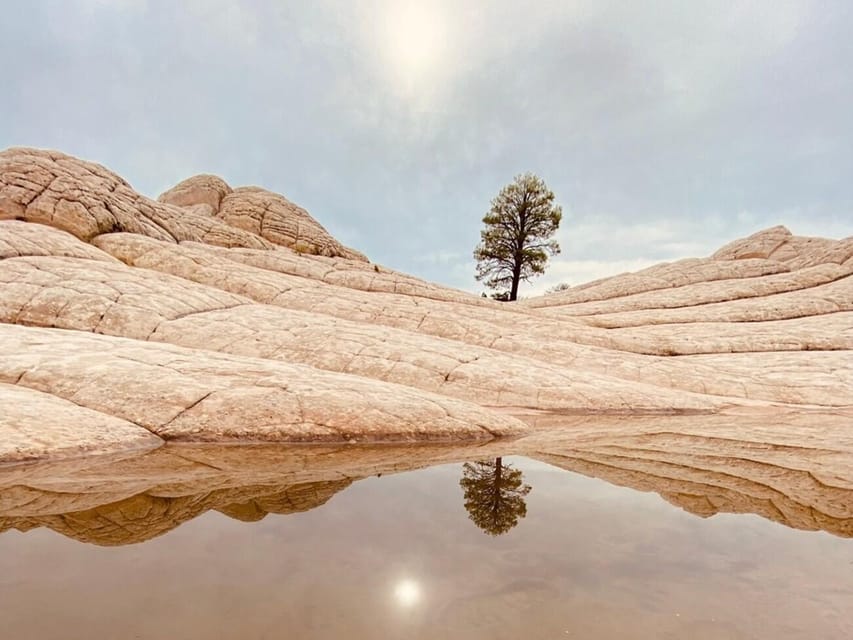 Kanab: White Pocket Rock Formation Tour - Experience Highlights