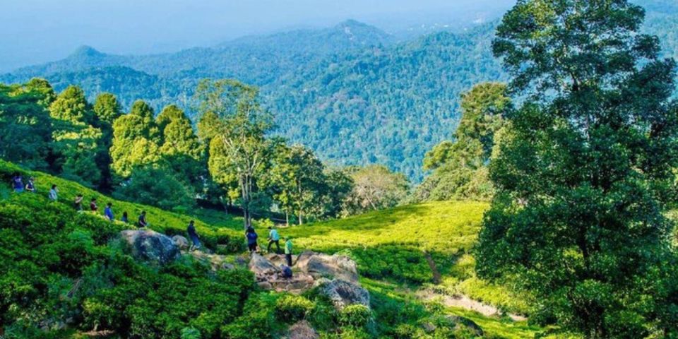 Kandy: 2 Day All-Inclusive Tea Plantation Adventure! - Detailed Itinerary