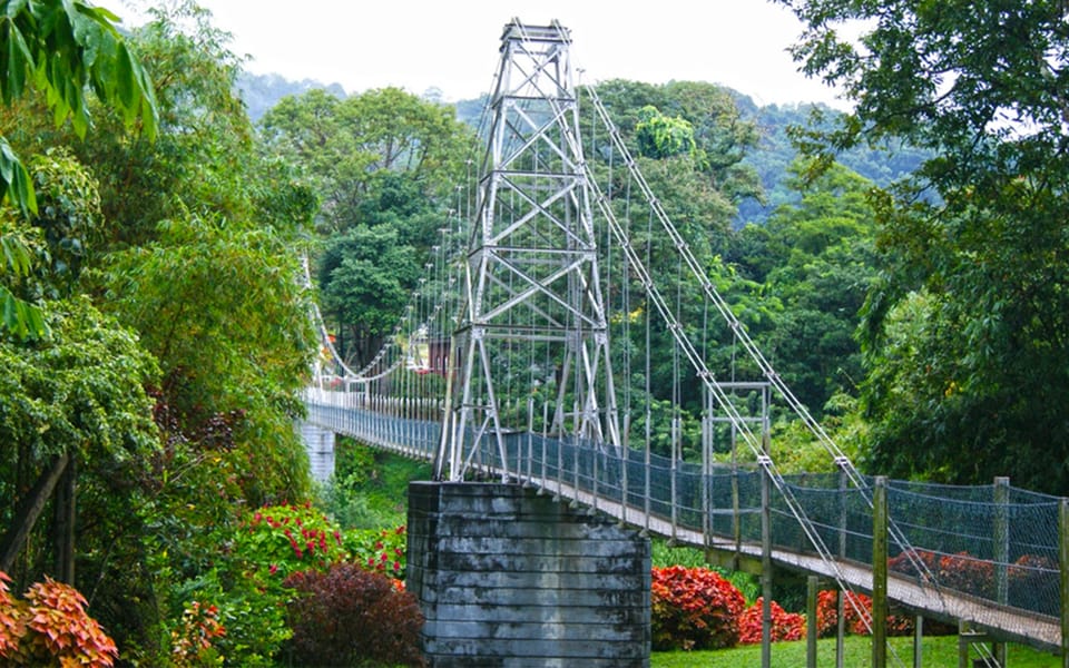 Kandy Private Day Trip: From Colombo - Royal Botanical Gardens, Kandy