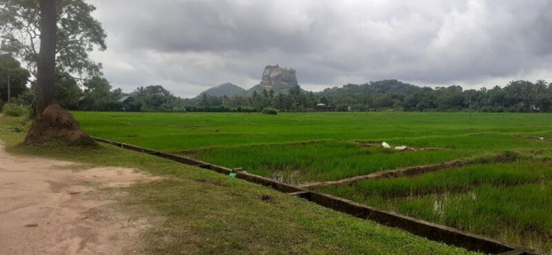 Kandy to Sigiriya Day Tour - Itinerary Highlights