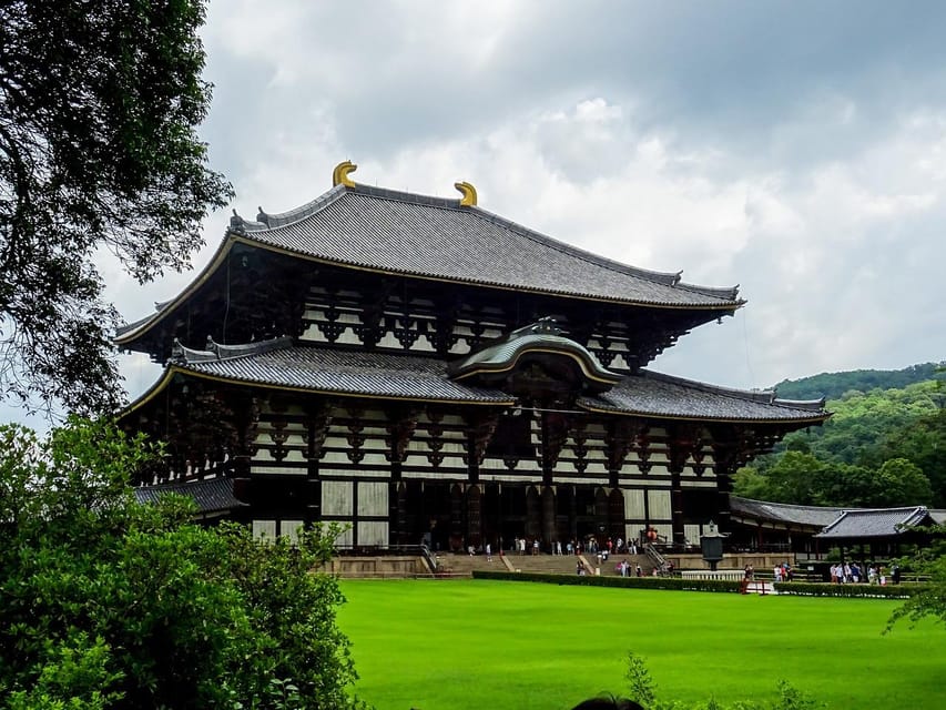 Kansai 10-Hour Chartered Day Trip｜Nara City - Vehicle and Driver Details