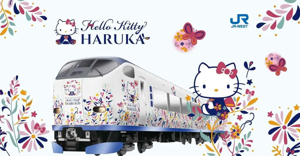 Kansai-Airport Express HARUKA One-way Ticket - Important Travel Tips