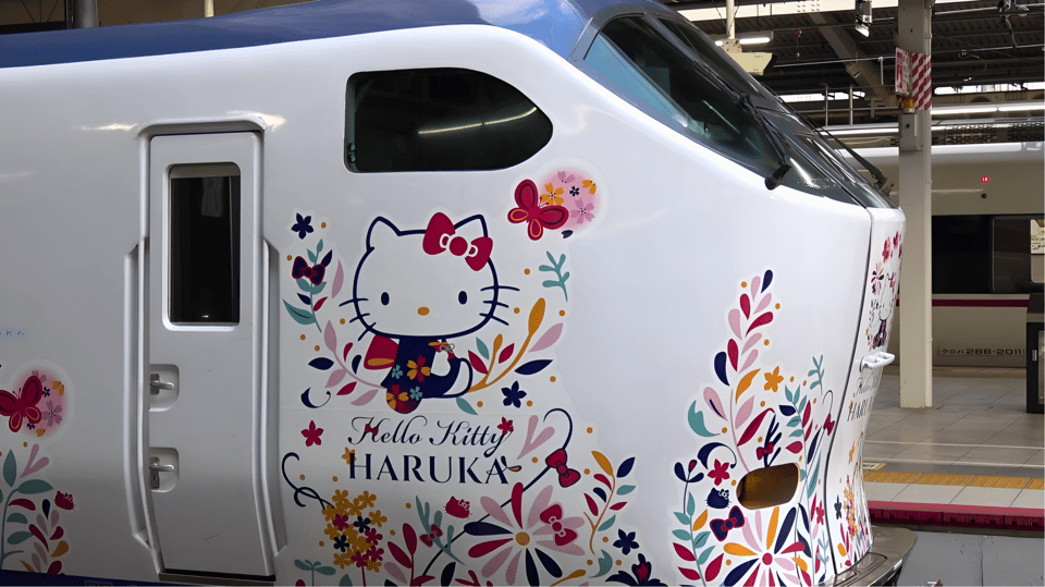 Kansai-Airport Express HARUKA One-way Ticket - Valid Routes and Options