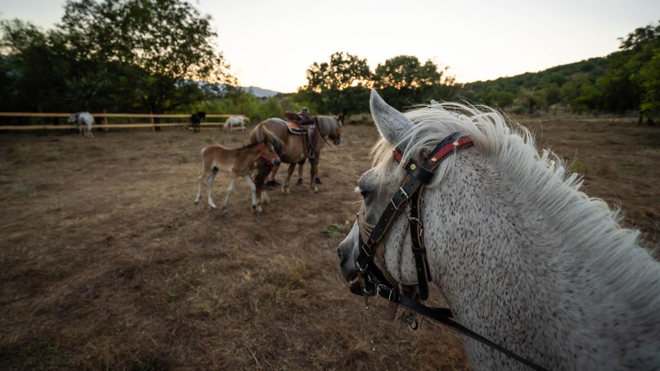 Kastraki: Meteora Sunset Horseback Riding - Tour Details