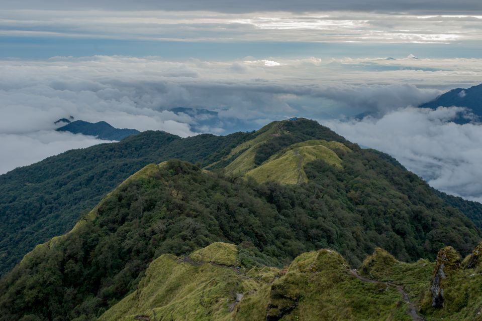 Kathmandu: 7-Day Mardi Himal Trek - Trek Details and Route