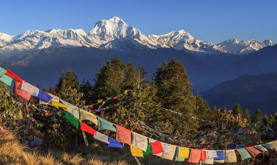 Kathmandu: 7 Days Ghorepani Poonhill & Ghandruk Private Trek - Trek Highlights