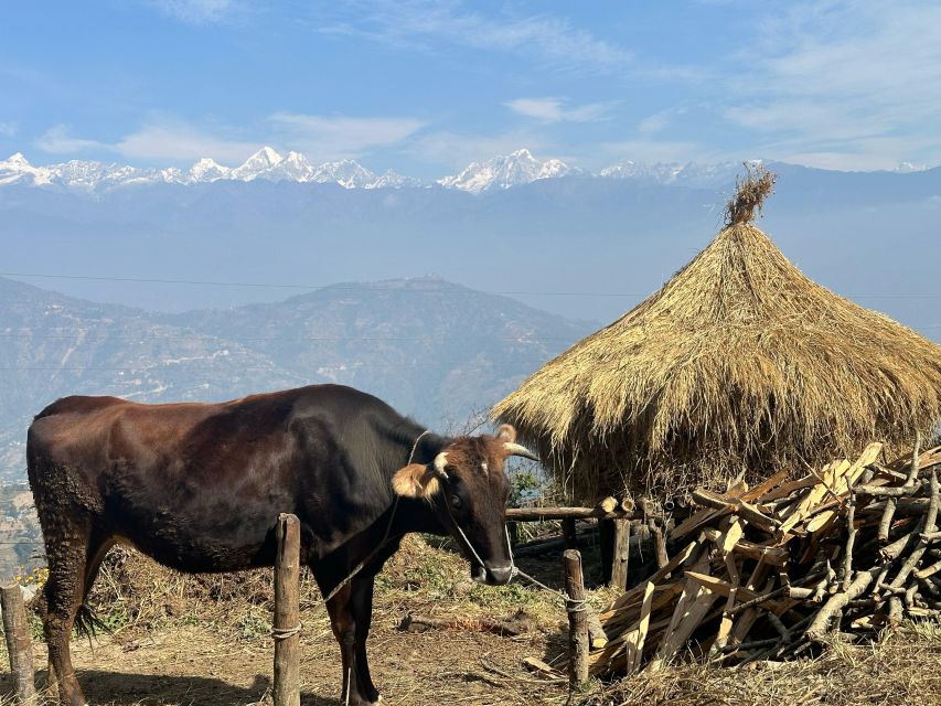 Kathmandu: Balcony Walk at North Shivapuri With Scenic View - Highlights of the Trek