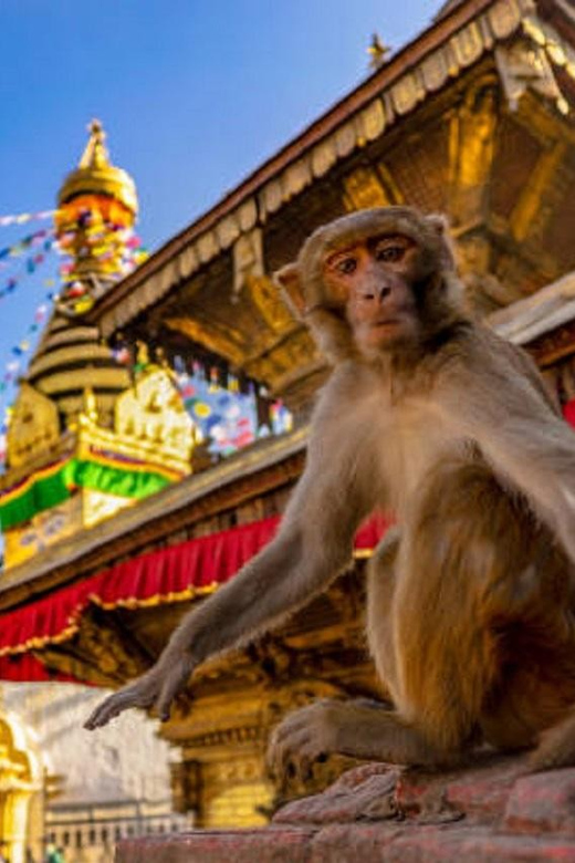 Kathmandu: Chandragiri Cable Car & Monkey Temple Day Tour - Itinerary Highlights