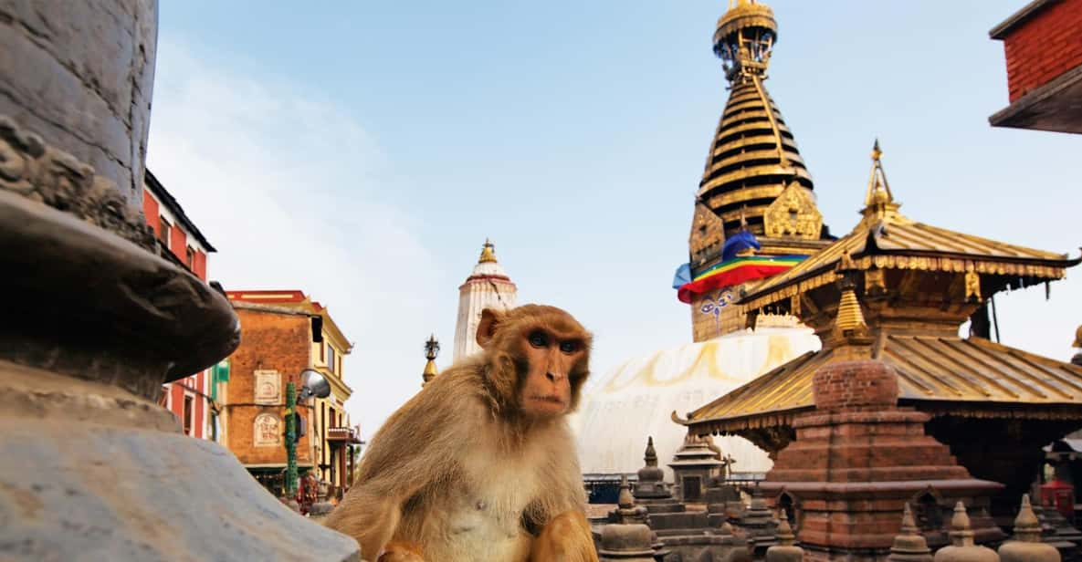 Kathmandu City Private Walking Tour: Monkey Temple/ Shyambhu - Inclusions for the Tour