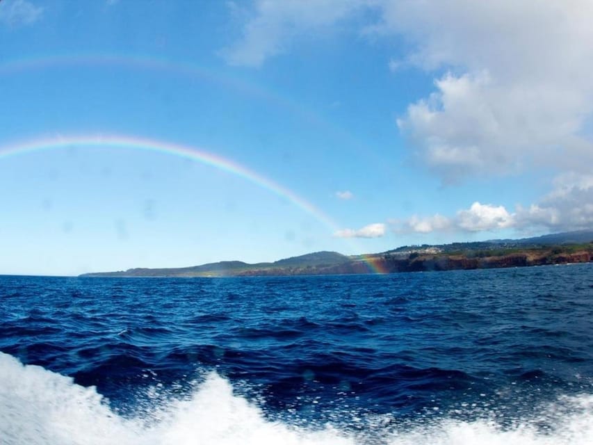 Kauai: 3-Tank Boat Dive for Certified Divers - Pricing and Booking Information