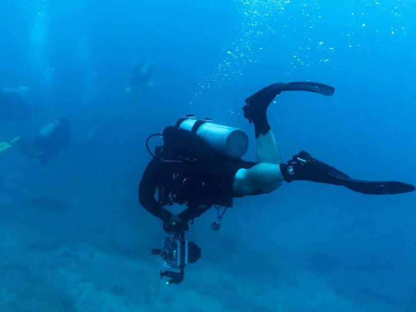 Kauai: Twilight/Night Shore Dive Experience - Dive Depth and Skill Levels