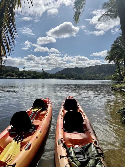 Kauai:Guided Kayak and Hike to Secret Falls - Experience Highlights