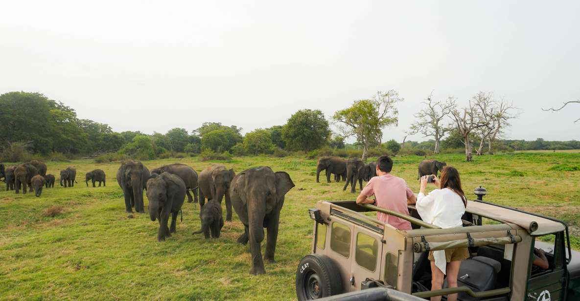 Kaudulla National Park Half Day Sri Lanka Jeep Safari - Safari Experience