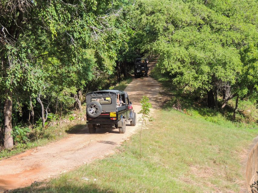 Kaudulla National Park: Private Safari - Wildlife Viewing