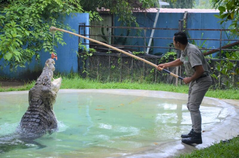 Kedah: Wildlife Park Langkawi Admission Ticket - Park Features