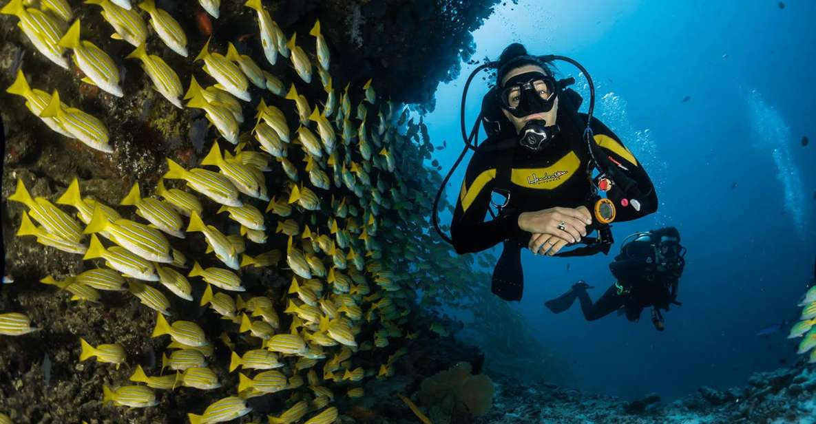 Kefalonia: Beginner Scuba Diving at Agia Efimia Village - Booking Your Experience