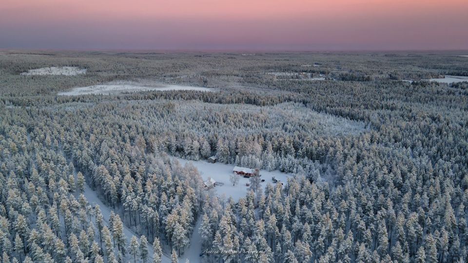 Kemi: Sleddog Husky Safari Incl. Hot Drink - Experience Highlights