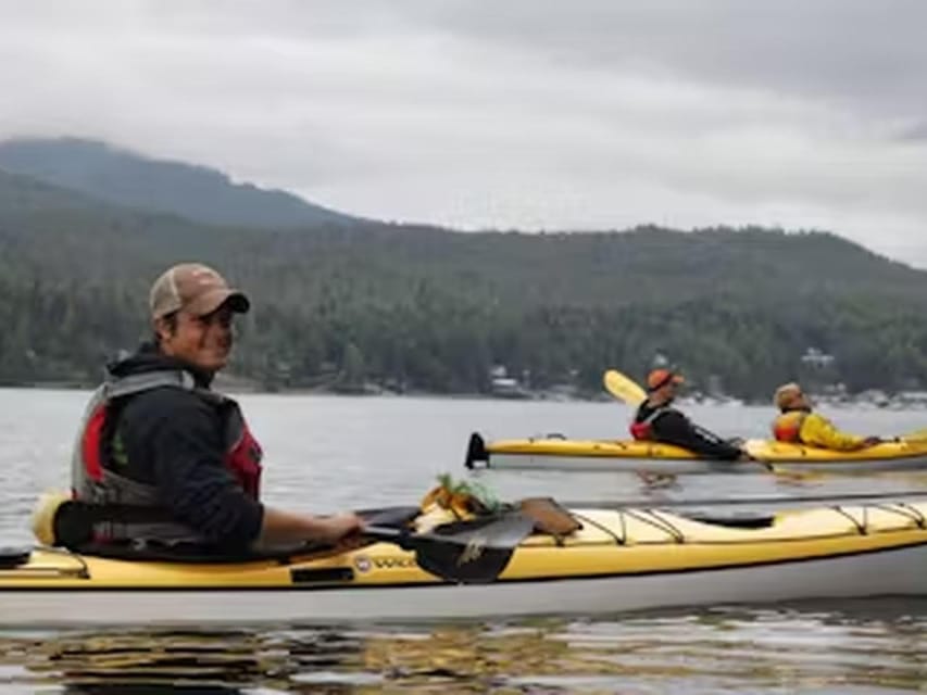 Ketchikan: Kayak Eco-Tour - Experience Highlights