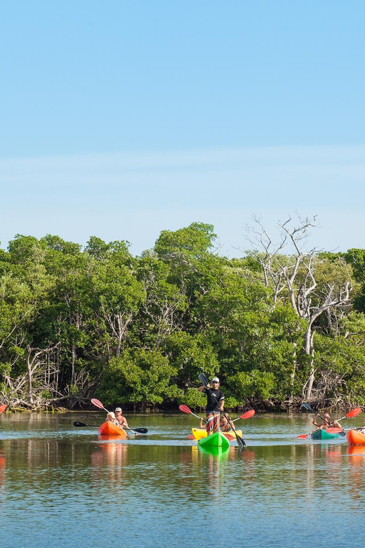 Key West Afternoon Sail, Snorkel, Kayak & Sunset Excursion - Activities and Experience