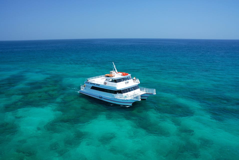 Key West: Glass-Bottom Boat Reef Eco-Tour - Experience Highlights