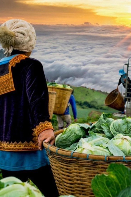 Khao Kho Private Tour From Bangkok | Thailand - Tour Features
