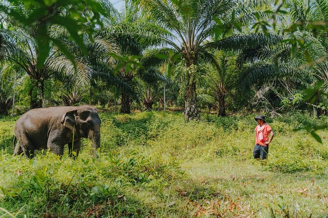 Khaolak Elephant Sanctuary, Cooking Class and Waterfall Tour - Exciting Cooking Class Details