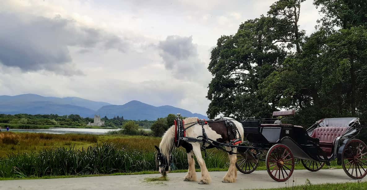 Killarney Jaunting Car Tour - Starting and Return Locations