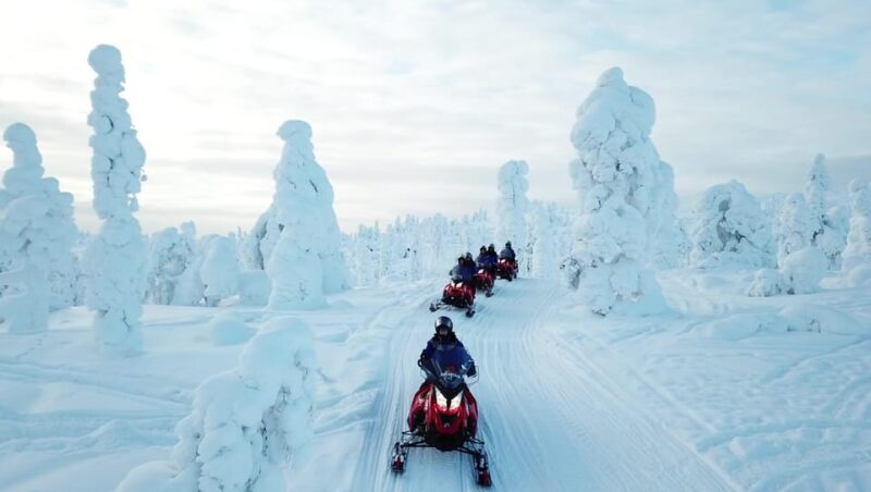 King of Ylläs: Snowmobiling to the Hill - Scenic Highlights of the Journey