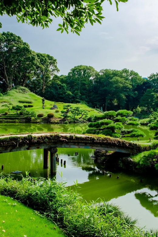 Kiyosumishirakawa~Traditional Gardens & Cafe Tour With Lunch - Detailed Itinerary