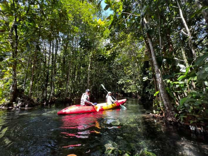 Klong Rud Kayaking With Hotel Transfer - Itinerary Details