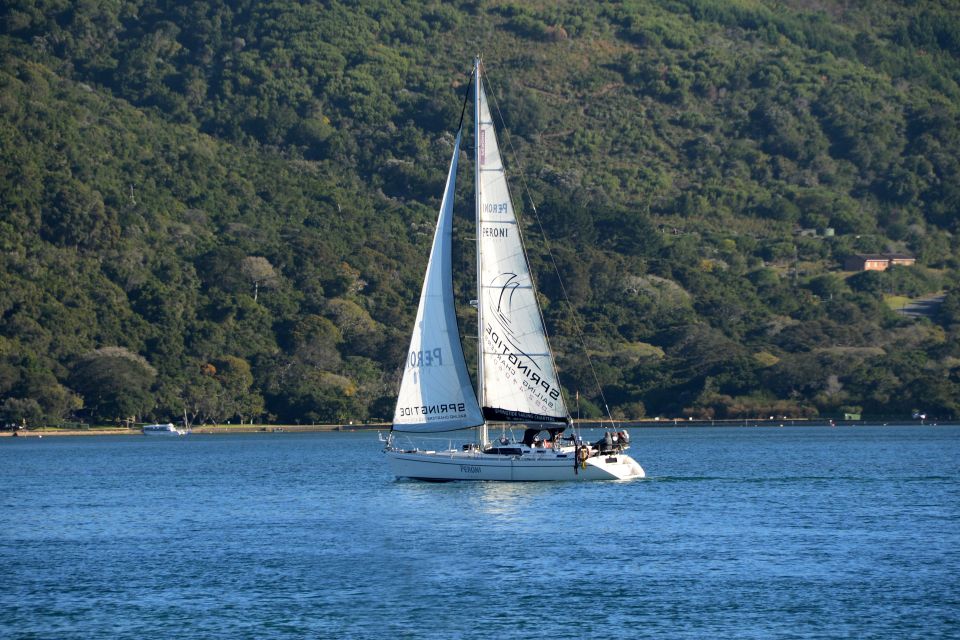 Knysna: 2.5-Hour Day Sail & Lunch Charter - Scenic Views and Wildlife Encounters