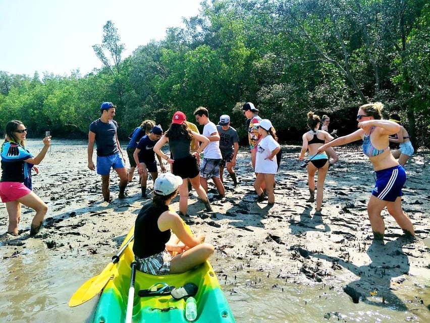 Ko Lanta: Half-Day Mangrove Eco Kayak Experience With Lunch - Itinerary Details