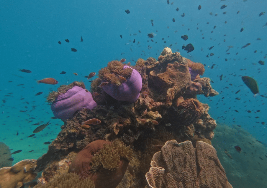 Koh Kood: Snorkeling Speedboat Tour With Lunch and Transfer - Cancellation Policy