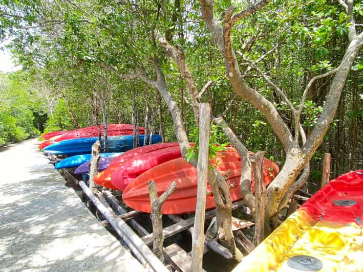 Koh Lanta:Mangrove + Elephant Camp Half Day Tour - Experience Highlights