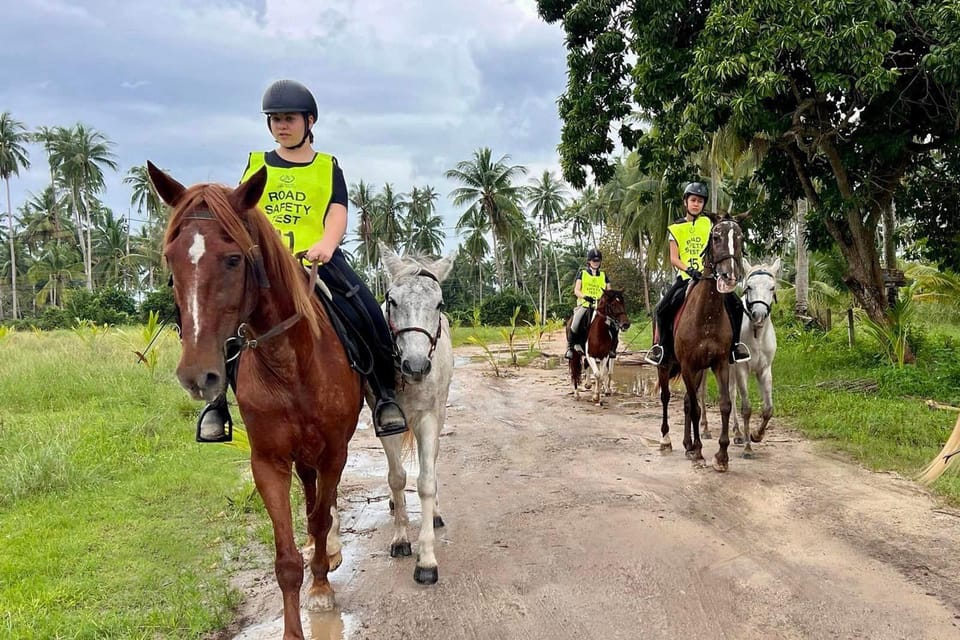 Koh Samui Horse Riding & Beach Trails - Ride Highlights