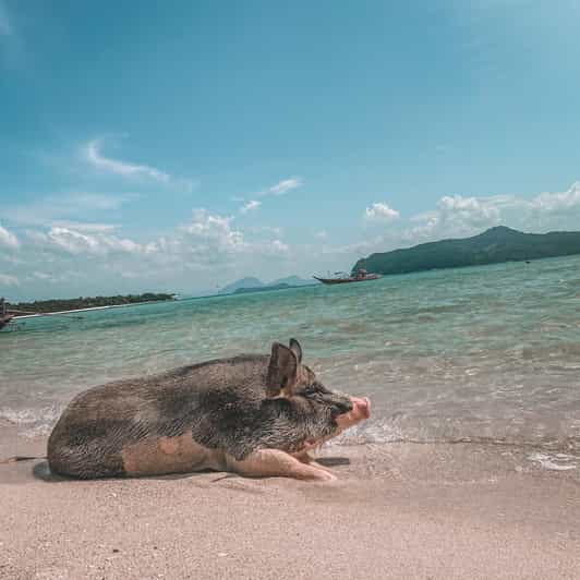 Koh Samui: Koh Madsum and Koh Tan by Private Longtail Boat. - Itinerary Highlights