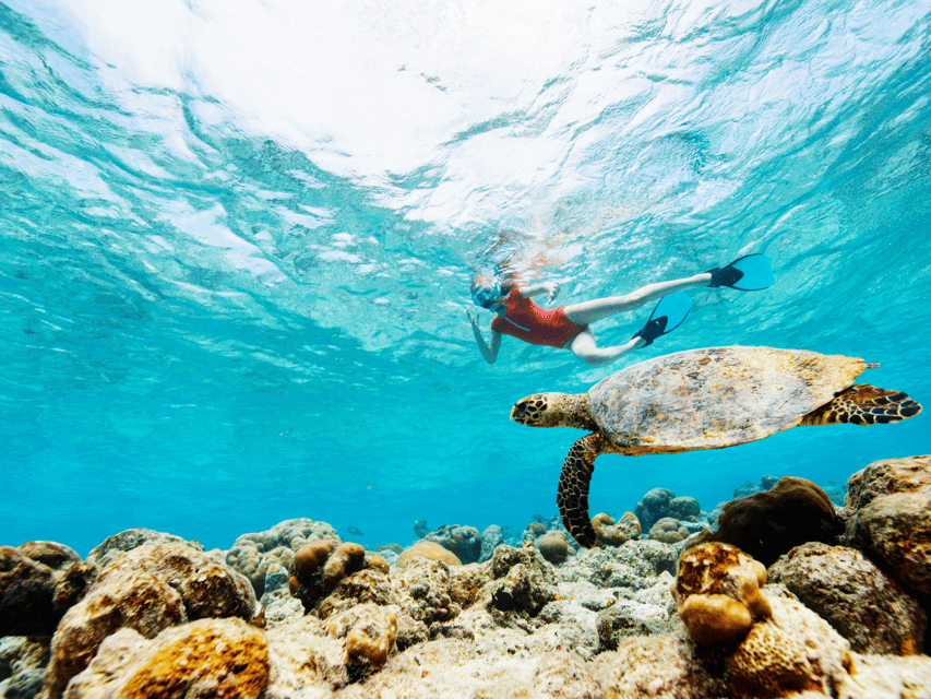 Koh Samui: Koh Tao and Nangyuan Snorkeling Tour by Catamaran - Pickup and Drop-off