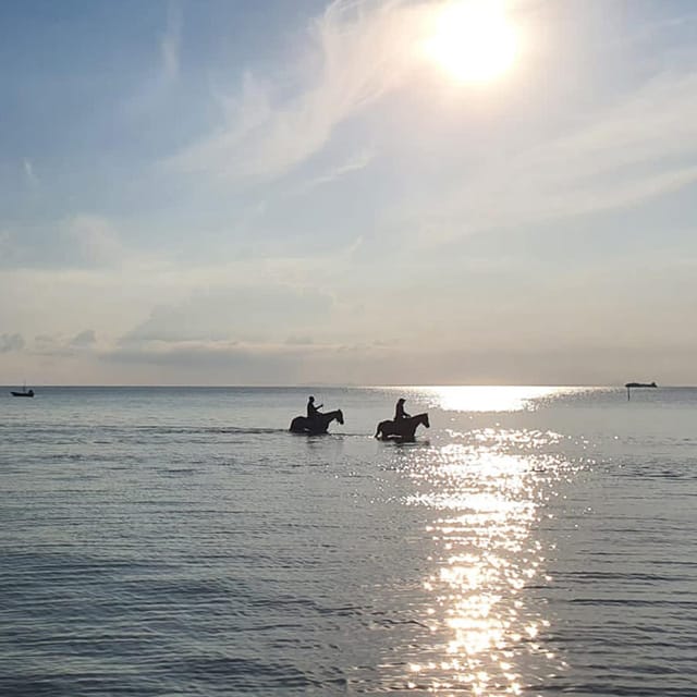 Koh Samui: Sunset Trail Horse Riding on The Beach - Experience Highlights