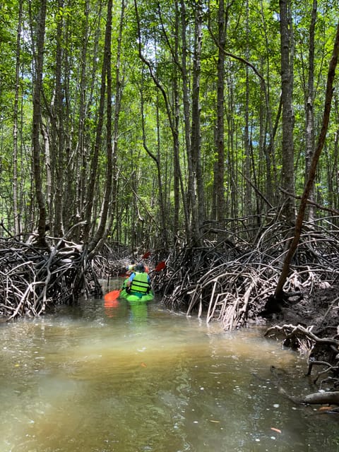 Koh Yao Yai: Klong Hia Mangrove Kayaking - Itinerary